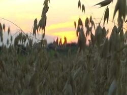 Illinois Sunset Stock Footage