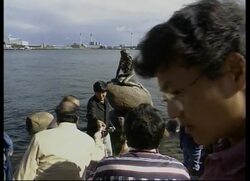 Modern-day mermaids mark 90th anniversary of statue News Clip