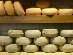 MS Shot of Pecorino cheese in delicacy shop / Pienza, Tuscany, Italy Stock Footage