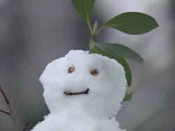 MS RF Snowman in Central Park / New York, New York, United States Stock Footage