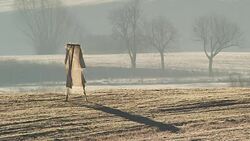 Scarecrow Stock Footage