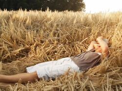 HD: Young Farmer Resting In Wheat Stock Footage