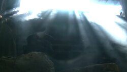 Fuel efficient wood burning stove News Clip