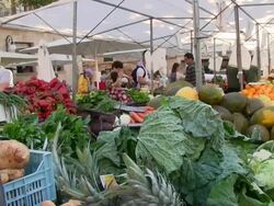 MS Fruits and vegetables at market in Pollenca / Mallorca, Balearic Islands, Spain Stock Footage