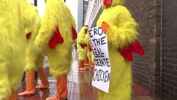 Debate Chickens Outside Conservative Party Spring Conference News Clip