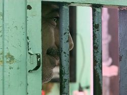 Death row in Morocco News Clip