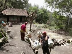 MS Miners at the weighting cabin / Ijen, Java, Indonesia Stock Footage