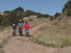 Migrant Workers Walk Stock Footage
