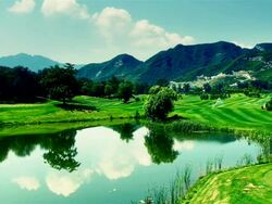 Beautiful golf course Stock Footage