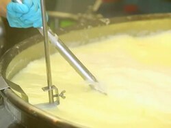 Stirring Milk for Cheese Production Closeup Stock Footage