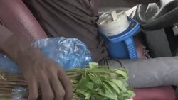 CLEAN : Djiboutis khat addiction holding back development News Clip