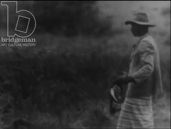 Madagascar c.1958 - A group of people sacrifice a cow to feed the caiman. Stock Footage