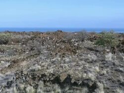 Hawaii old lava field vista Stock Footage
