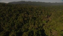 Dense trees blanket hills in Laos. Stock Footage