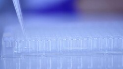 Scientist transfer mix small volume liquids within 96 well dishes Stock Footage