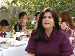 INTERVIEW - Alicia Lopez on the event at Woodbridge By Robert Mondavi Dream Thanksgiving, Hosted By Sabrina Soto Stock Footage