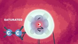 TED-Ed: What is fat? - George Zaidan Instructional Video