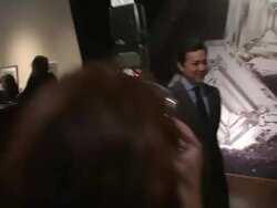 Christie's Previews the Ponahalo Diamonds Before Auction Stock Footage