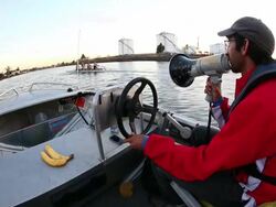 Rowers from local private schools, elite athletes and members of the public train on the Yarra River. Stock Footage