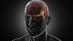 From neurons during synapsis to a human head. Loopable. Biology. Stock Footage