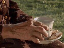 Care for Seniors Citizens Stock Footage