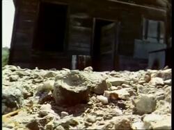 CU Giant centipede, Scolopendra gigantea, crawling over rubble, past camera, USA Stock Footage