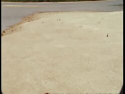 WA view of sand bar, tilt down to baby turtles emerging from sand, South America Stock Footage