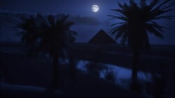 A full moon lights the night sky. Stock Footage