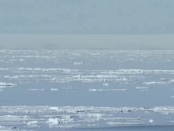 WS, PAN, Russian nuclear icebreaker traveling through ice covered sea, Russia Stock Footage