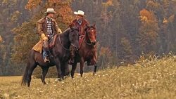 SLO MO DS Two ranchers talking while riding horses Stock Footage