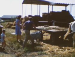 Kibbutz Life Stock Footage