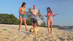 Volunteers cleaning the beach 4K Stock Footage