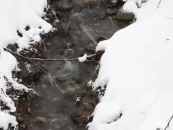 flowing water in melting snow Stock Footage