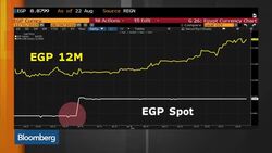 Egypt Readies for Tough Reforms News Clip