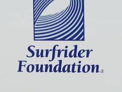 Heidi Klum's 8th Annual Halloween Party Stock Footage