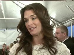 Metropolitan Museum of Art Costume Institute Gala, 'Poiret: King of Fashion' Stock Footage