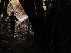 Hiking In the Woods Stock Footage