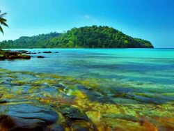 Sea beach. Stock Footage