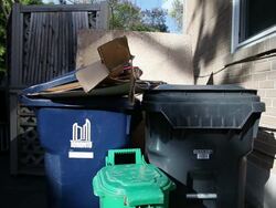 MS Shot of Garbage, compost, and recycling cans with stack of cardboard boxes at side of house / Toronto, Ontario, Canada Stock Footage