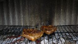 grilling some meat / barbecue grill Stock Footage