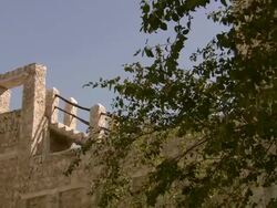 MS PAN Shot of building and tree / Doha, Qatar  Stock Footage