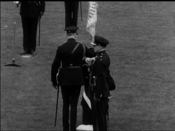 NEW COLOURS FOR THE GLOUCESTERS. News Clip