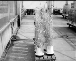 SCIENCE HELPS THE HARVEST News Clip