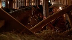 SLO MO DS Cowgirl stroking horse on forehead in stable Stock Footage