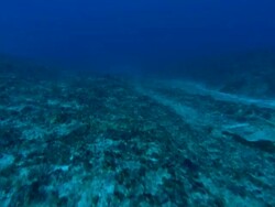 Narrow sand channel, underwater. Aldabra, Indian Ocean  Stock Footage