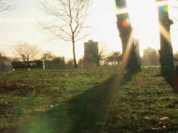 Man running through park, UK Stock Footage
