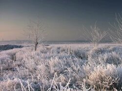 PAL: Jogging Stock Footage