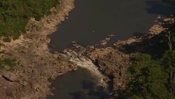 A river winds through a lush forest. Stock Footage