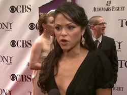 NEWS CAPSULE CLEAN: 63rd Annual Tony Awards, New York, NY, 6/7/09 Stock Footage