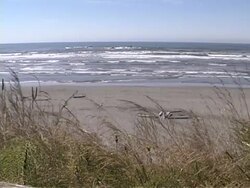 Beach #07 Stock Footage